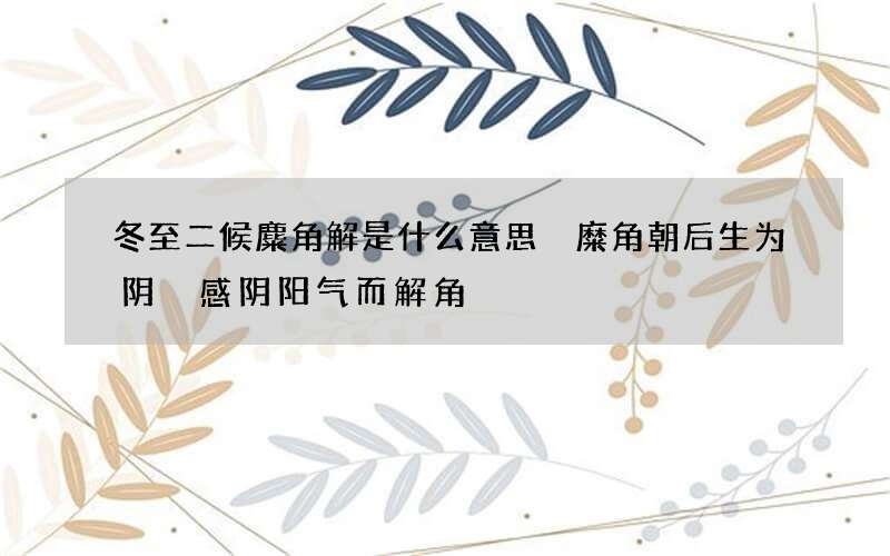冬至二候麋角解是什么意思 糜角朝后生为阴 感阴阳气而解角